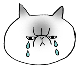 Nekoo exotic short hair(cat) sticker #8805158