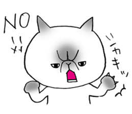 Nekoo exotic short hair(cat) sticker #8805161