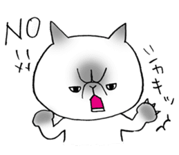 Nekoo exotic short hair(cat) sticker #8805161