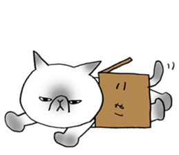 Nekoo exotic short hair(cat) sticker #8805163