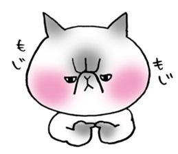 Nekoo exotic short hair(cat) sticker #8805166