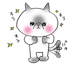 Nekoo exotic short hair(cat) sticker #8805170