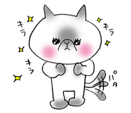 Nekoo exotic short hair(cat) sticker #8805170