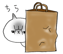 Nekoo exotic short hair(cat) sticker #8805173