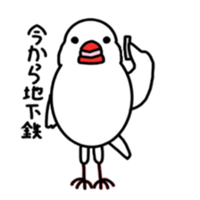 My java sparrows sticker #8805458