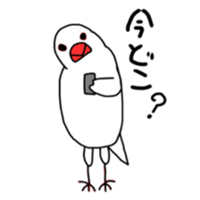 My java sparrows sticker #8805460