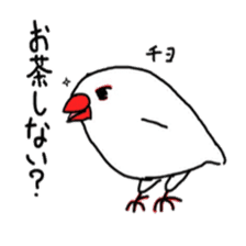 My java sparrows sticker #8805462