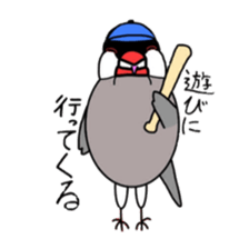 My java sparrows sticker #8805466