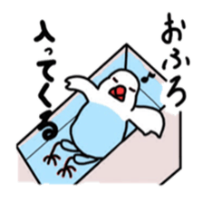 My java sparrows sticker #8805468