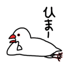 My java sparrows sticker #8805469