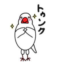 My java sparrows sticker #8805470