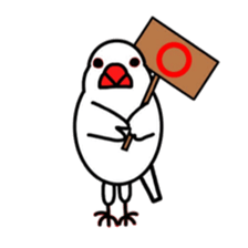 My java sparrows sticker #8805474