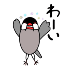 My java sparrows sticker #8805476