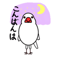 My java sparrows sticker #8805479