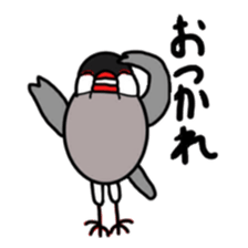 My java sparrows sticker #8805481