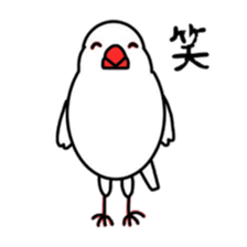 My java sparrows sticker #8805482