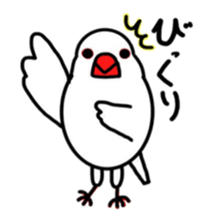 My java sparrows sticker #8805483