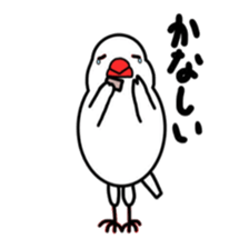 My java sparrows sticker #8805484