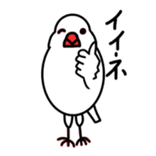 My java sparrows sticker #8805489