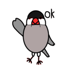 My java sparrows sticker #8805492