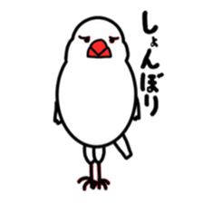 My java sparrows sticker #8805493