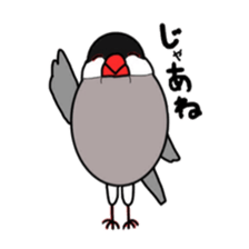 My java sparrows sticker #8805495