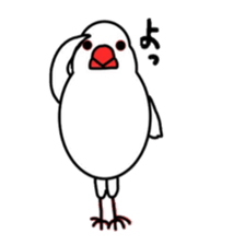 My java sparrows sticker #8805497