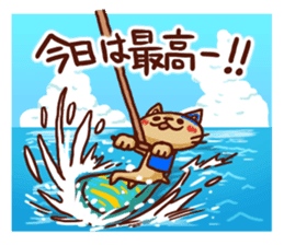 the pad of cat @ Okinawa sticker #8805980