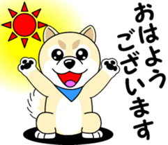 Mameshiba cut Pomeranian [honorific ed] sticker #8808698