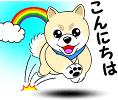 Mameshiba cut Pomeranian [honorific ed] sticker #8808699