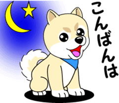 Mameshiba cut Pomeranian [honorific ed] sticker #8808700