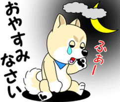 Mameshiba cut Pomeranian [honorific ed] sticker #8808701