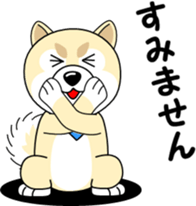 Mameshiba cut Pomeranian [honorific ed] sticker #8808703