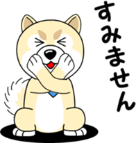 Mameshiba cut Pomeranian [honorific ed] sticker #8808703