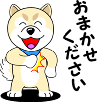 Mameshiba cut Pomeranian [honorific ed] sticker #8808705