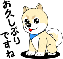 Mameshiba cut Pomeranian [honorific ed] sticker #8808706