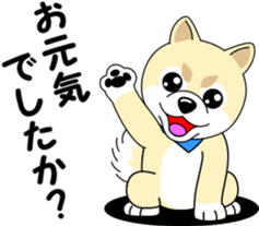 Mameshiba cut Pomeranian [honorific ed] sticker #8808707