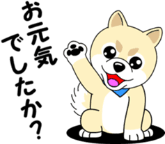 Mameshiba cut Pomeranian [honorific ed] sticker #8808707