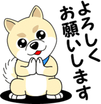 Mameshiba cut Pomeranian [honorific ed] sticker #8808708