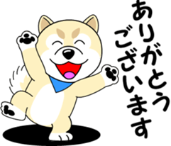 Mameshiba cut Pomeranian [honorific ed] sticker #8808709