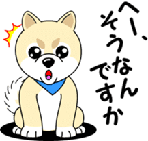Mameshiba cut Pomeranian [honorific ed] sticker #8808710