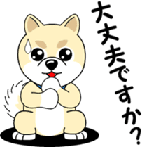 Mameshiba cut Pomeranian [honorific ed] sticker #8808712