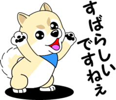 Mameshiba cut Pomeranian [honorific ed] sticker #8808715