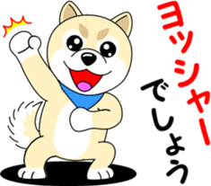 Mameshiba cut Pomeranian [honorific ed] sticker #8808716