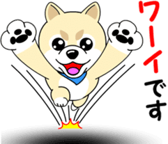 Mameshiba cut Pomeranian [honorific ed] sticker #8808717