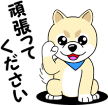 Mameshiba cut Pomeranian [honorific ed] sticker #8808718