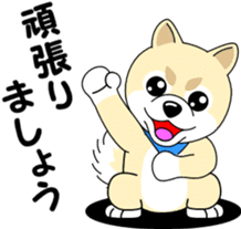 Mameshiba cut Pomeranian [honorific ed] sticker #8808720