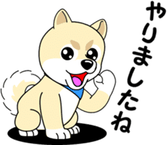Mameshiba cut Pomeranian [honorific ed] sticker #8808721
