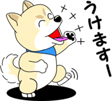 Mameshiba cut Pomeranian [honorific ed] sticker #8808723