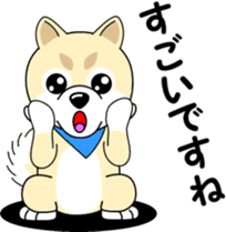 Mameshiba cut Pomeranian [honorific ed] sticker #8808724